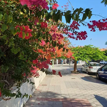 Casa Lea * طوستا ديل سيلونثيو
